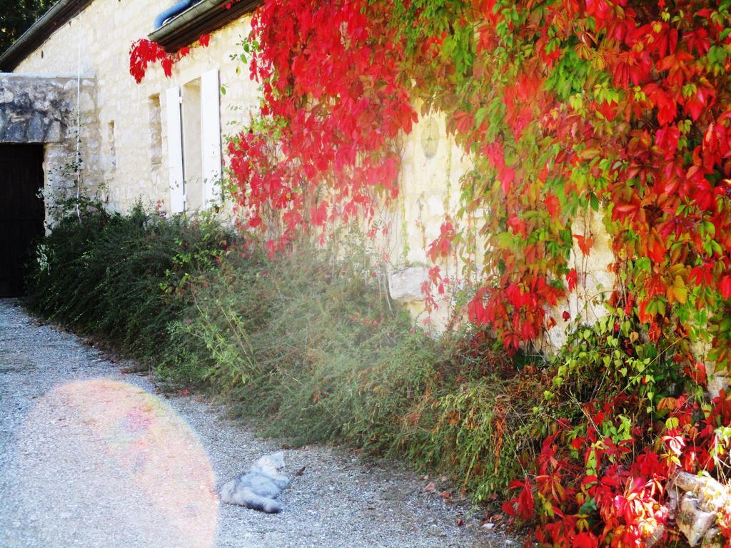 Gîtes Coeur de Lot Soucirac Extérieur photo