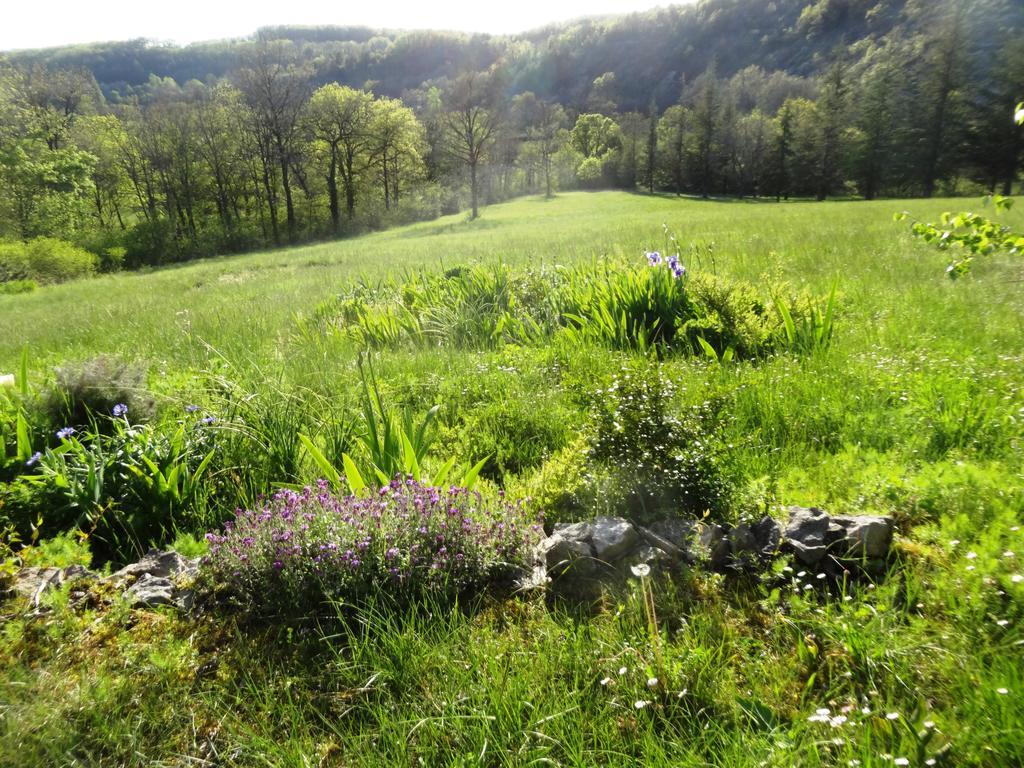 Gîtes Coeur de Lot Soucirac Extérieur photo