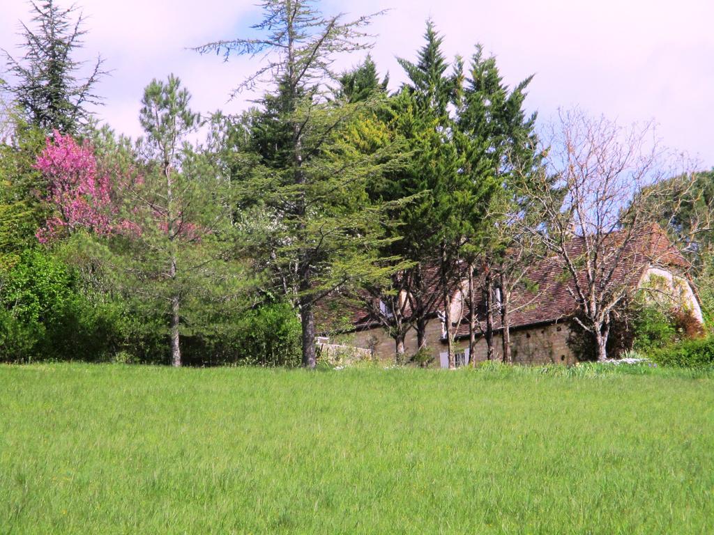 Gîtes Coeur de Lot Soucirac Extérieur photo